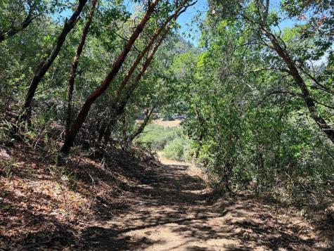 2119 Rio Lindo Avenue Healdsburg CA 95448
