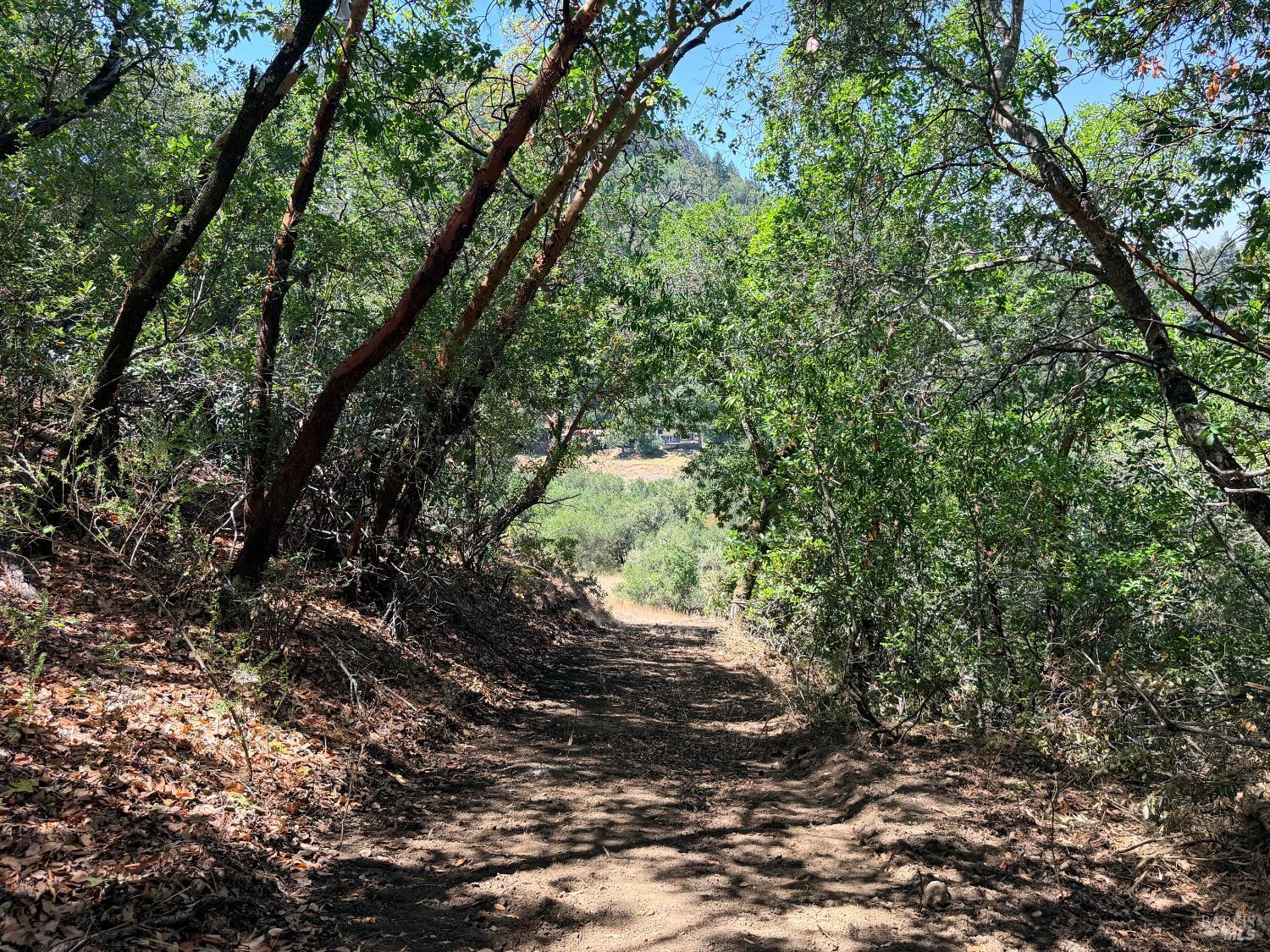 2119 Rio Lindo Avenue Healdsburg CA 95448