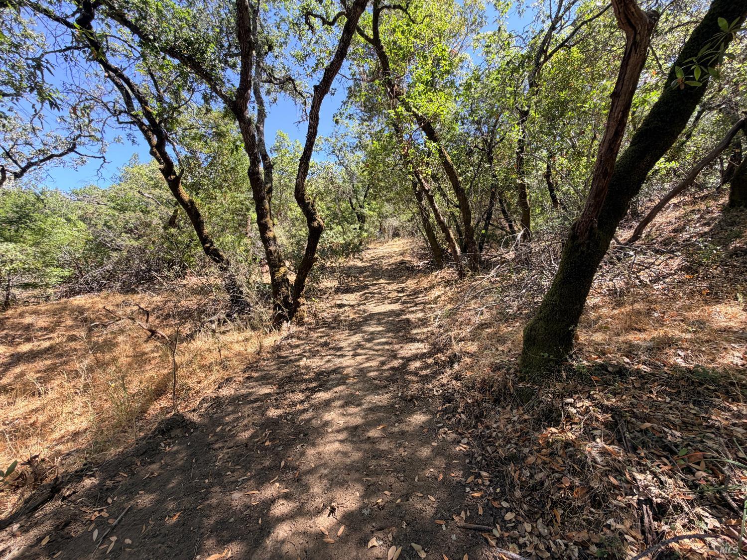 2119 Rio Lindo Avenue Healdsburg CA 95448