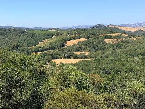 2119 Rio Lindo Avenue Healdsburg CA 95448
