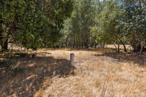 2119 Rio Lindo Avenue Healdsburg CA 95448