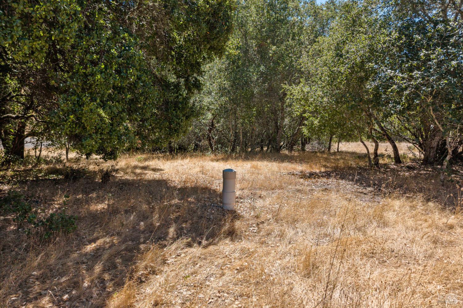 2119 Rio Lindo Avenue Healdsburg CA 95448