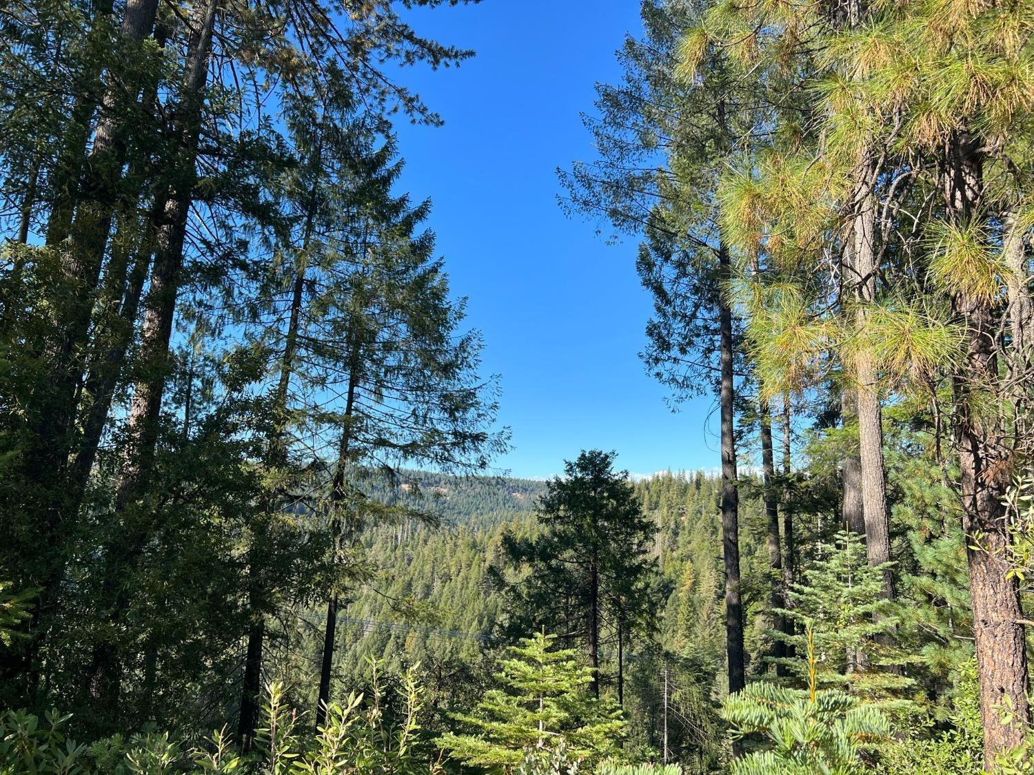 17506 Lowell Hill Road Grass Valley CA 95945