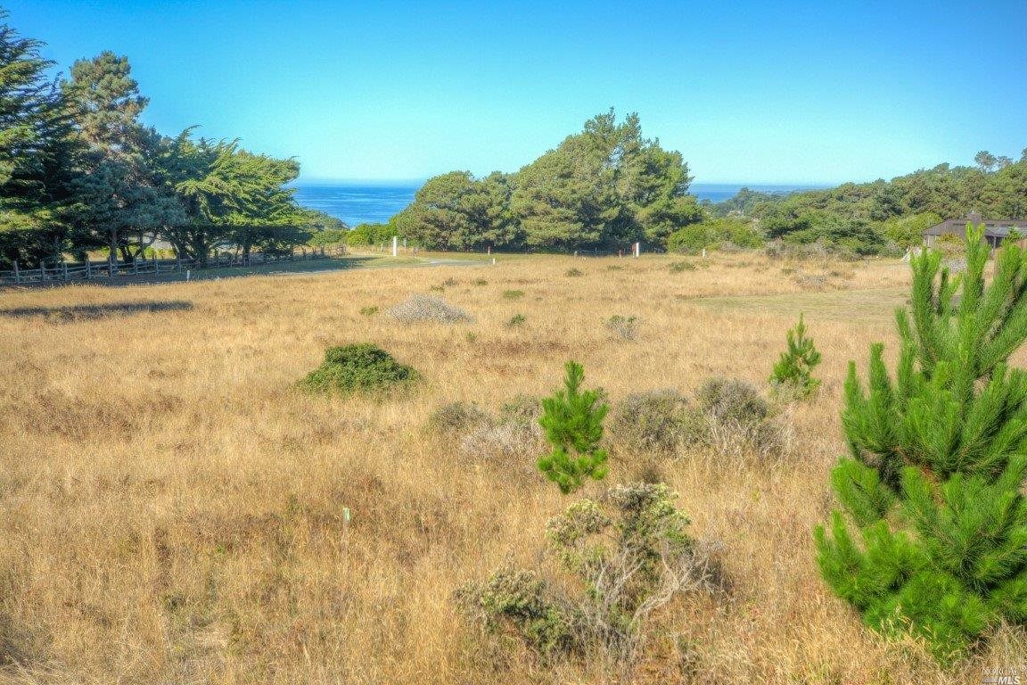 200 Headlands Close The Sea Ranch CA 95497