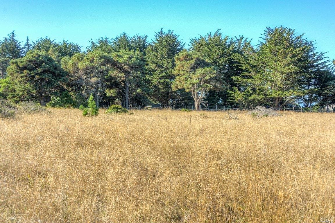200 Headlands Close The Sea Ranch CA 95497