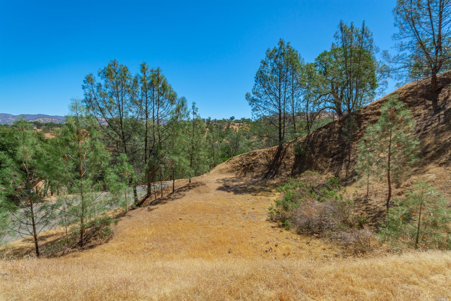 1268 Steele Canyon Road Napa CA 94558