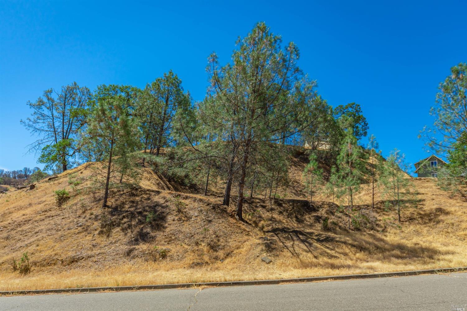 1268 Steele Canyon Road Napa CA 94558