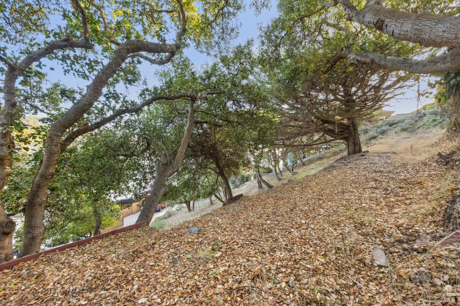 0 Tower Point Lane Tiburon CA 94920