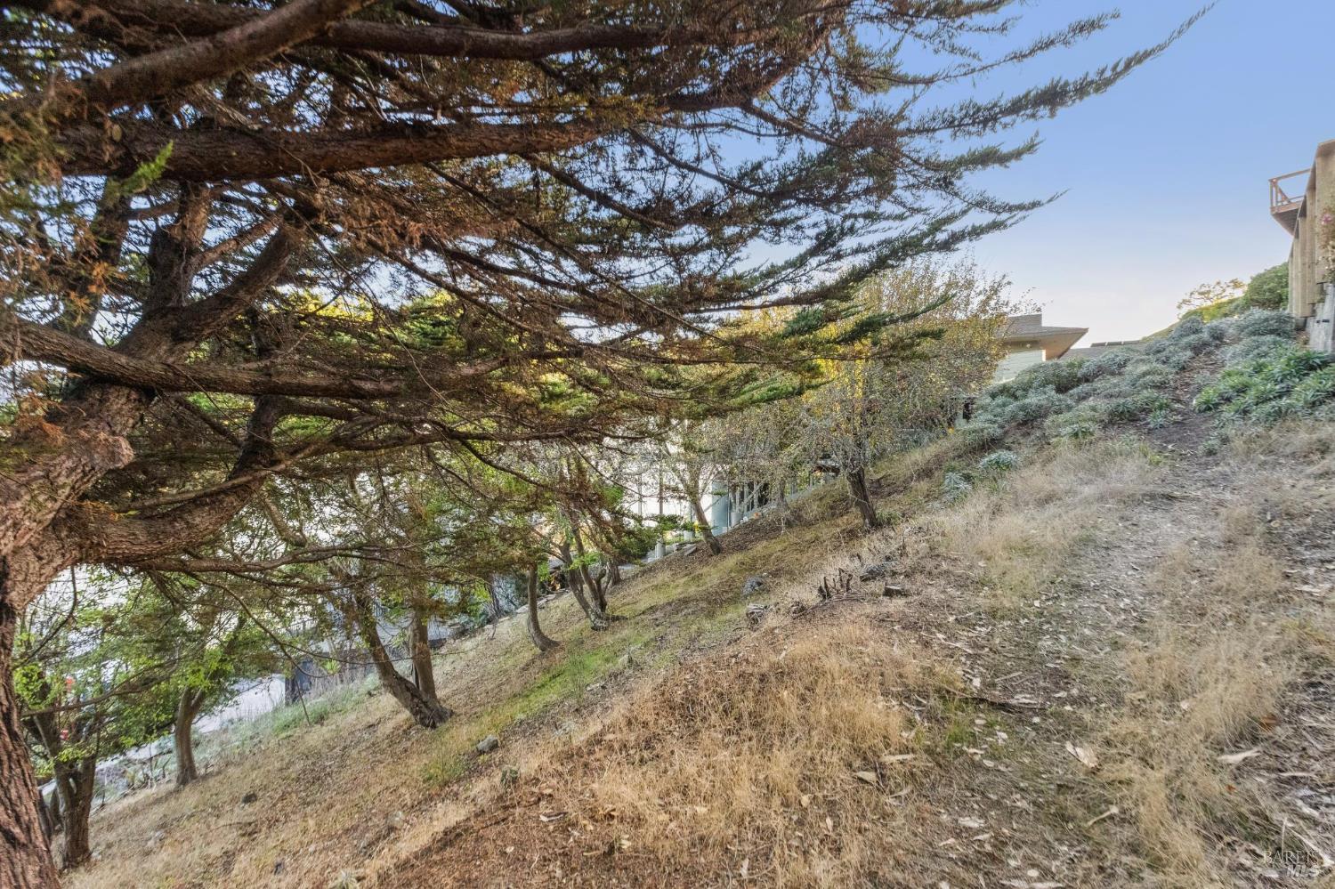 0 Tower Point Lane Tiburon CA 94920