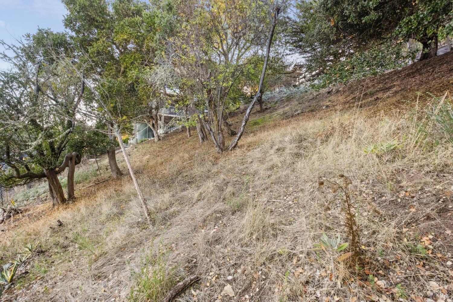 0 Tower Point Lane Tiburon CA 94920