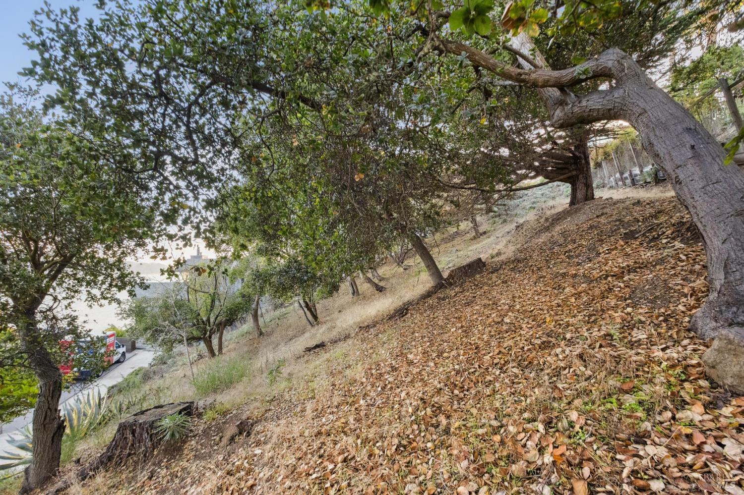 0 Tower Point Lane Tiburon CA 94920