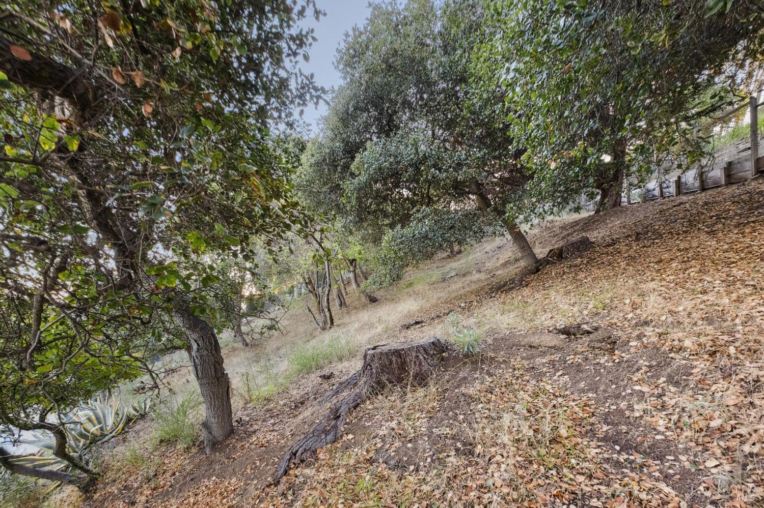 0 Tower Point Lane Tiburon CA 94920