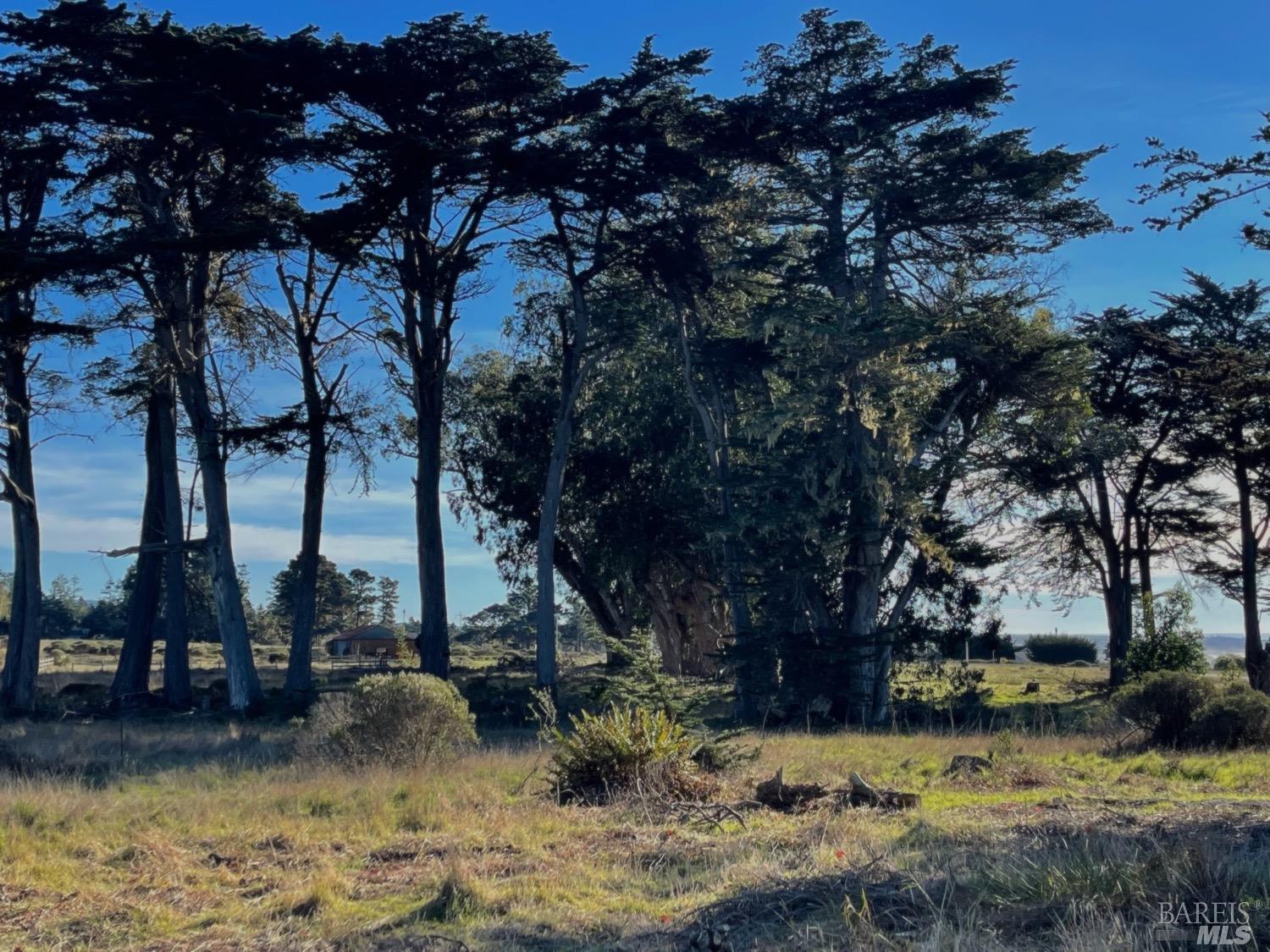 43725 Cypress Parkway Manchester CA 95459