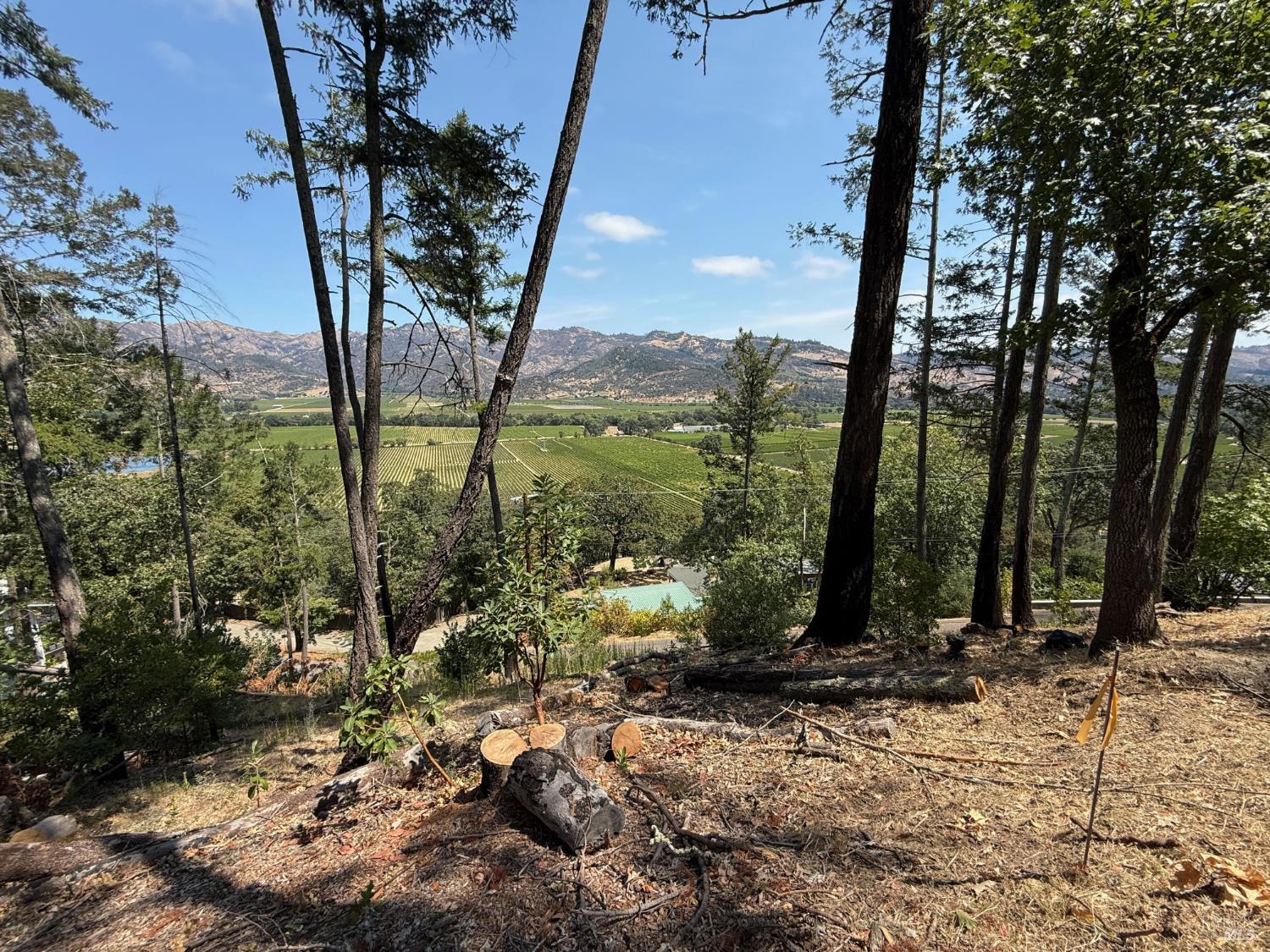 0 Tucker Road Calistoga CA 94515