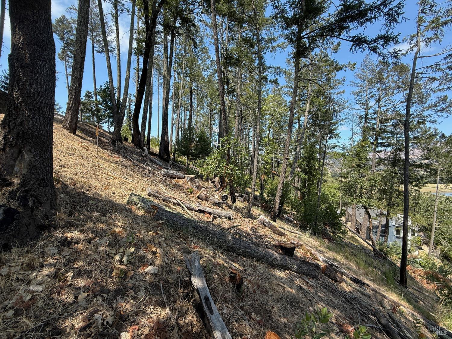 0 Tucker Road Calistoga CA 94515