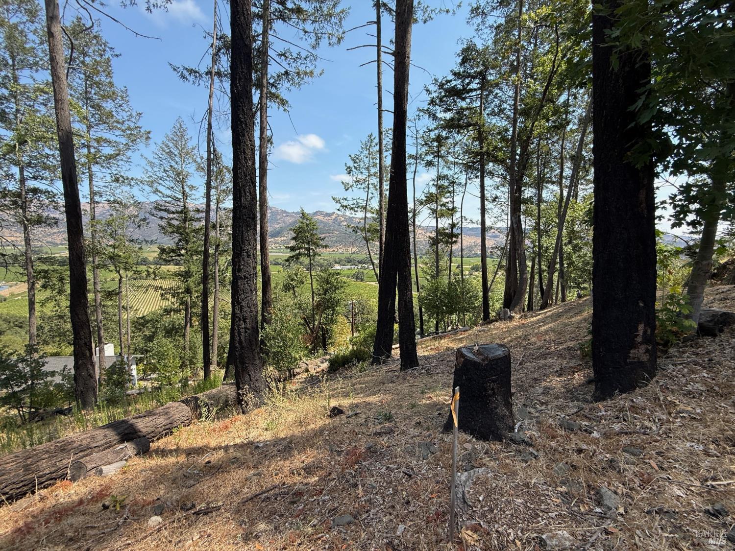 0 Tucker Road Calistoga CA 94515