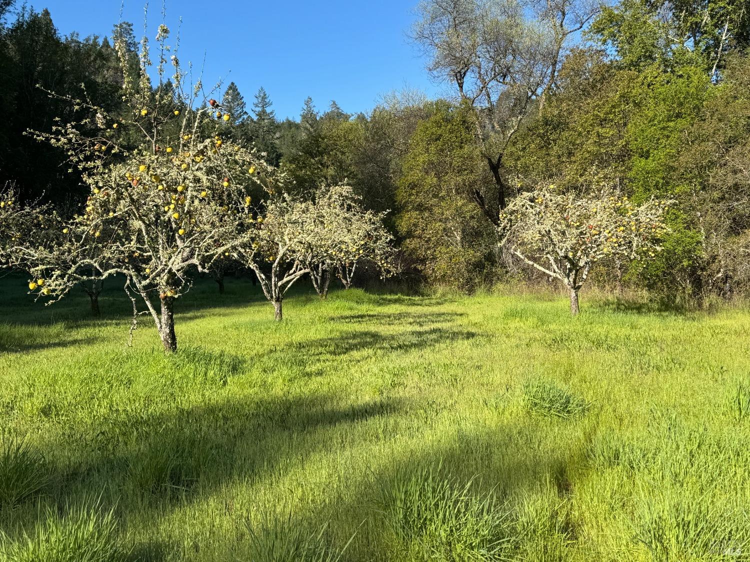 2660 Wallace Creek Road Healdsburg CA 95448