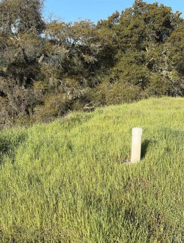 2660 Wallace Creek Road Healdsburg CA 95448