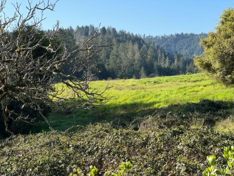 2660 Wallace Creek Road Healdsburg CA 95448