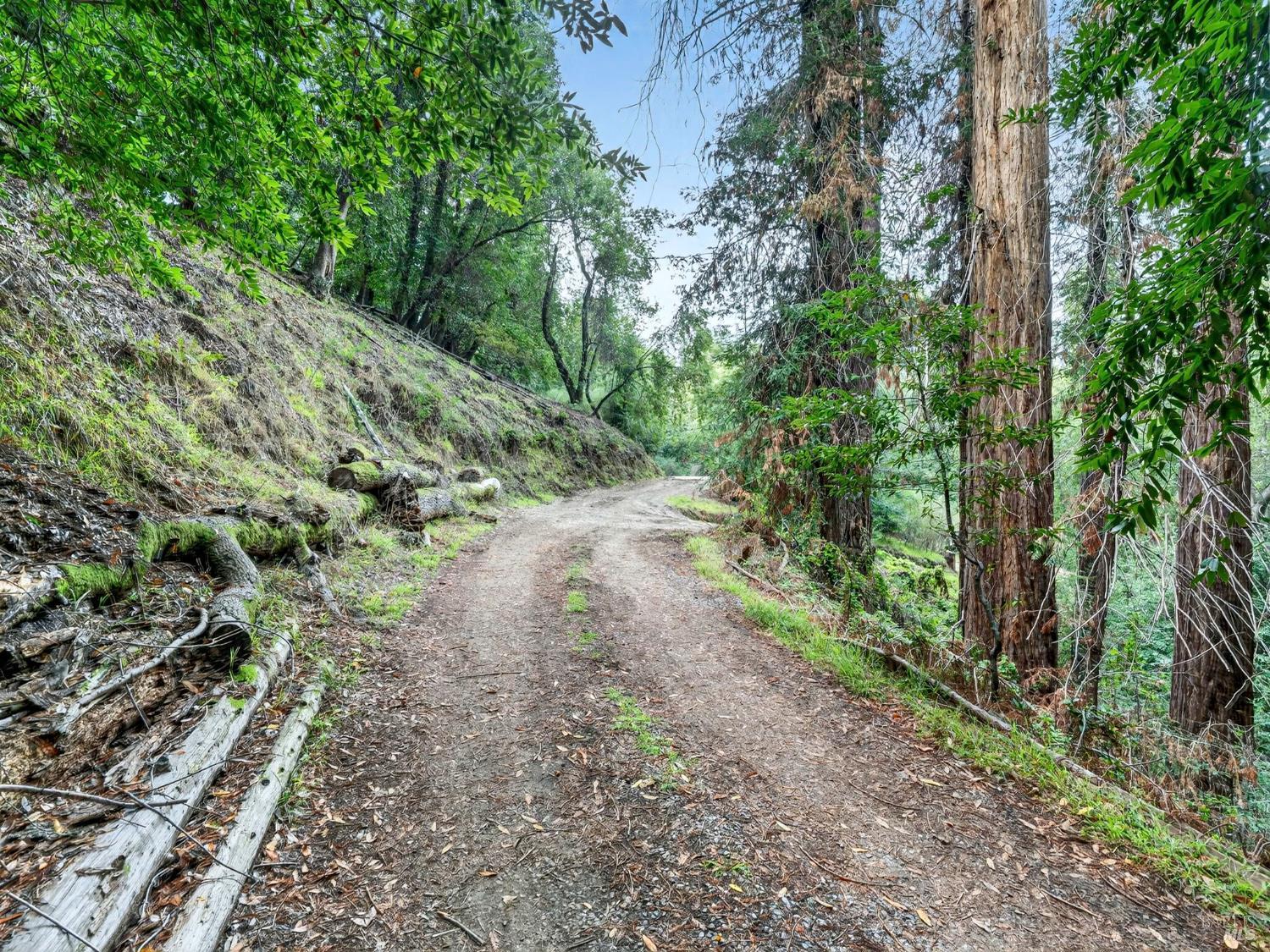 31 Red Rock Way San Rafael CA 94903