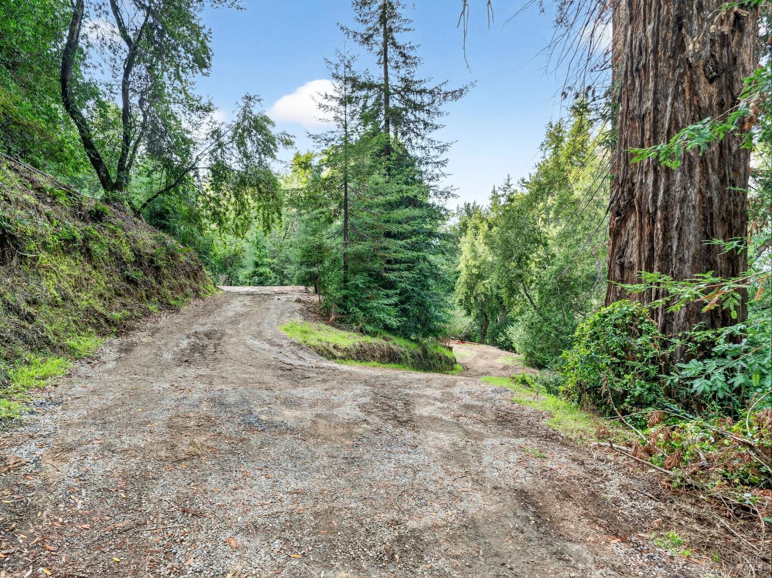 31 Red Rock Way San Rafael CA 94903