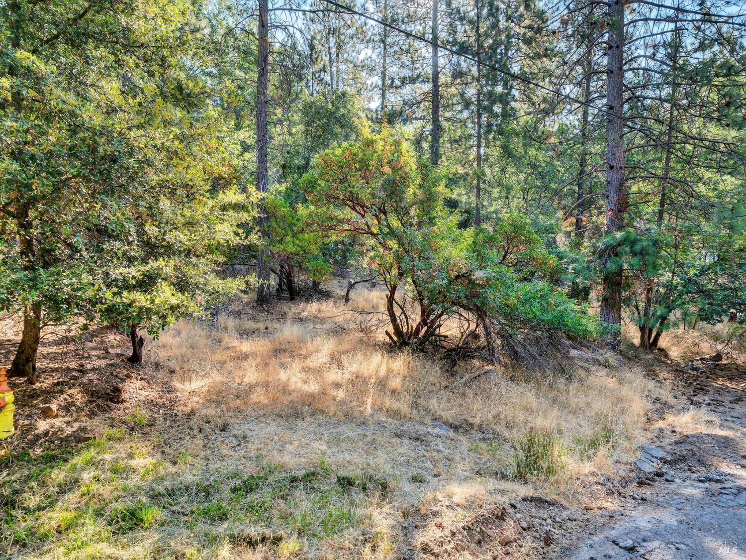 16370 Manzanita Court Cobb CA 95426