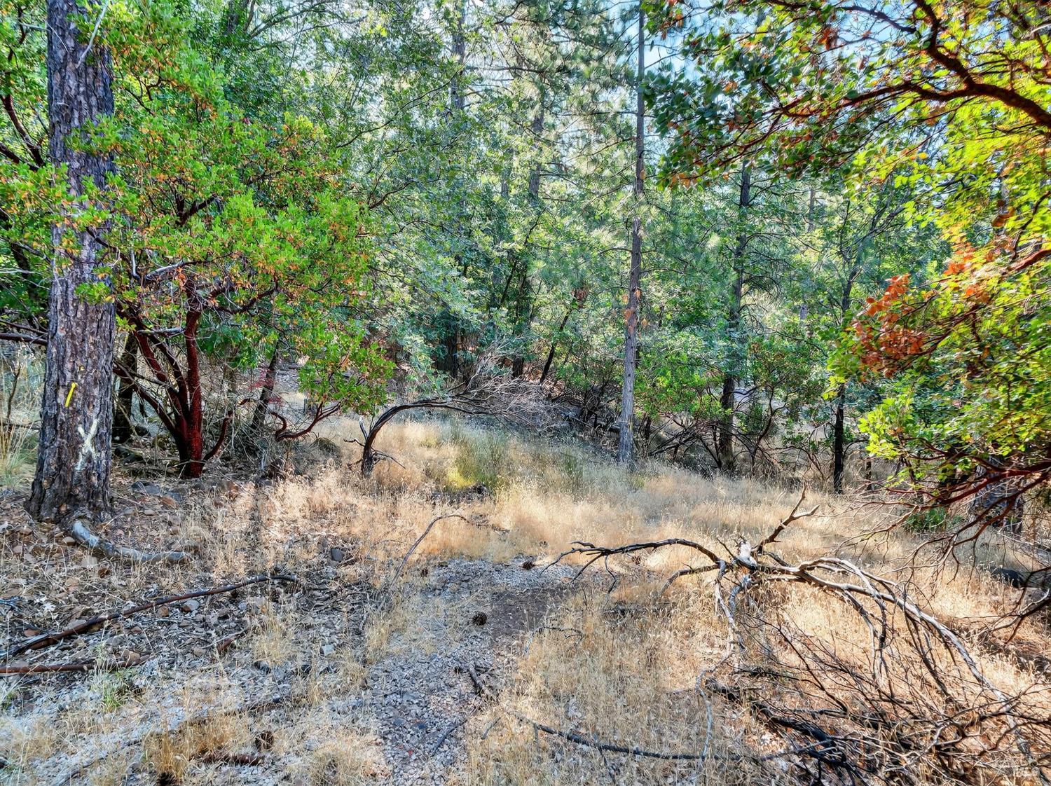 16370 Manzanita Court Cobb CA 95426