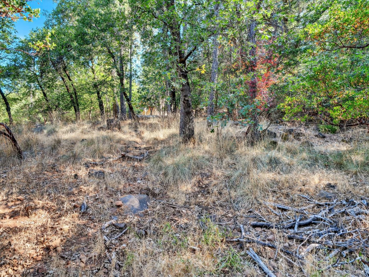16370 Manzanita Court Cobb CA 95426