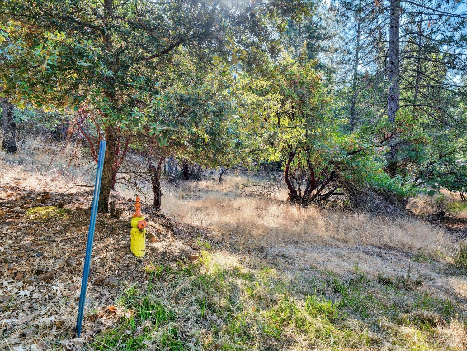 16370 Manzanita Court Cobb CA 95426