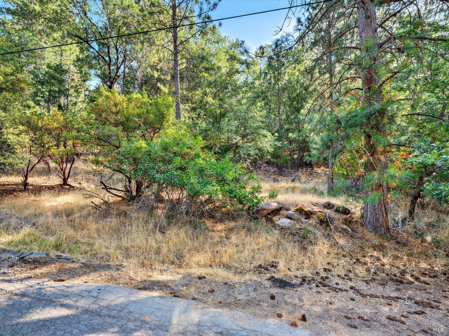 16370 Manzanita Court Cobb CA 95426