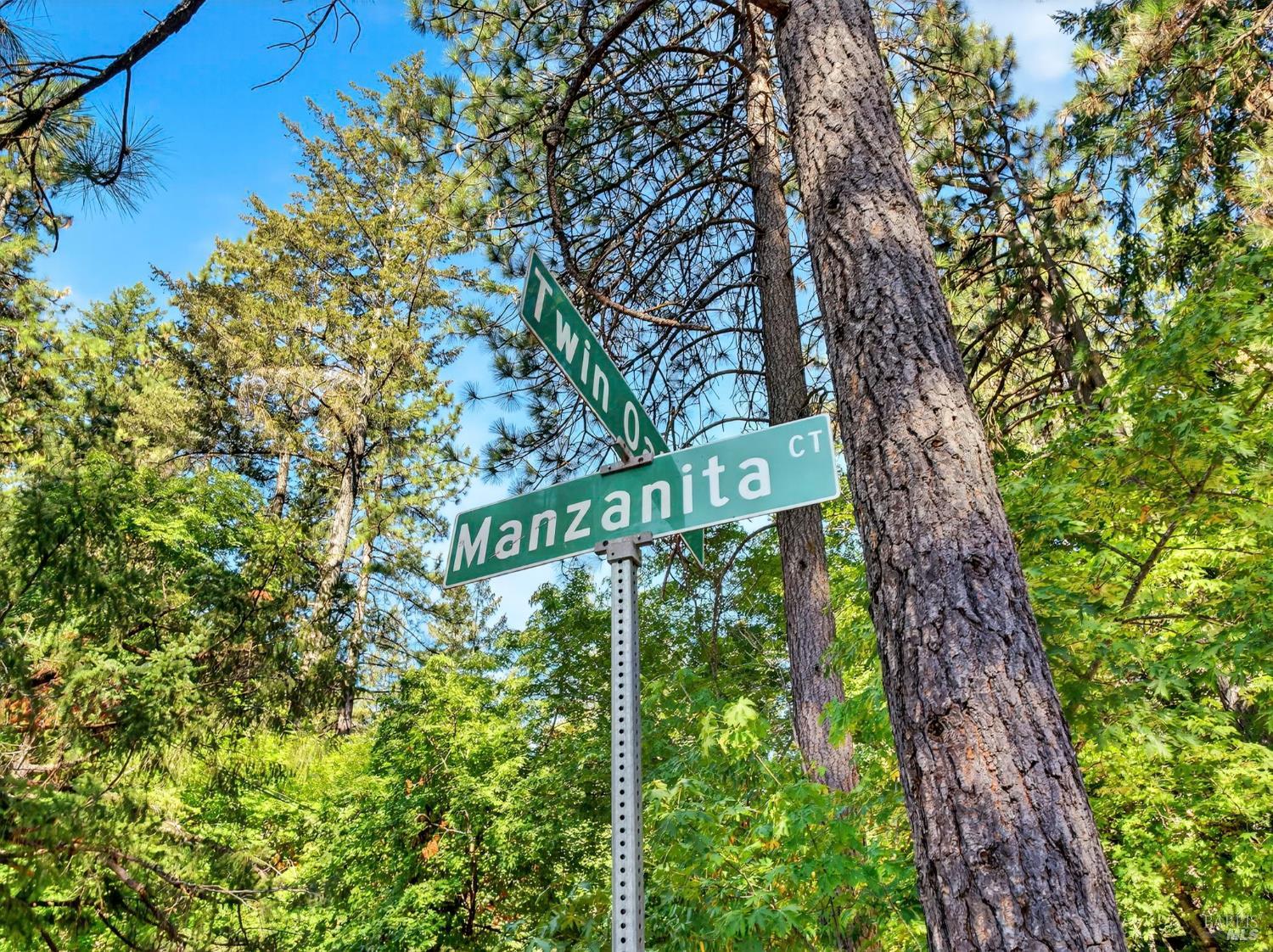 16370 Manzanita Court Cobb CA 95426