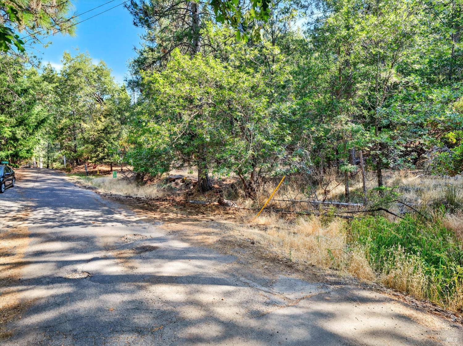 16370 Manzanita Court Cobb CA 95426