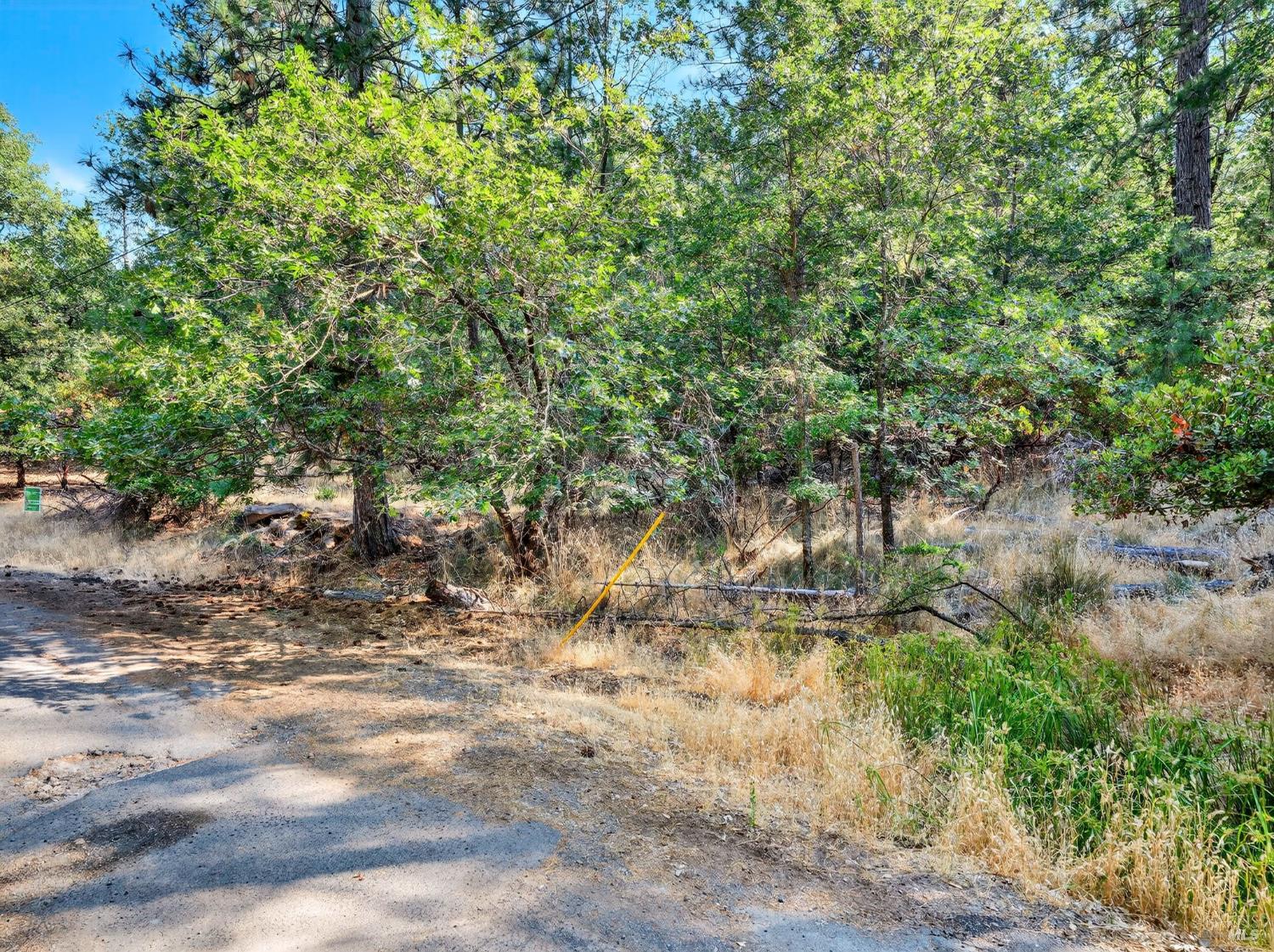 16370 Manzanita Court Cobb CA 95426