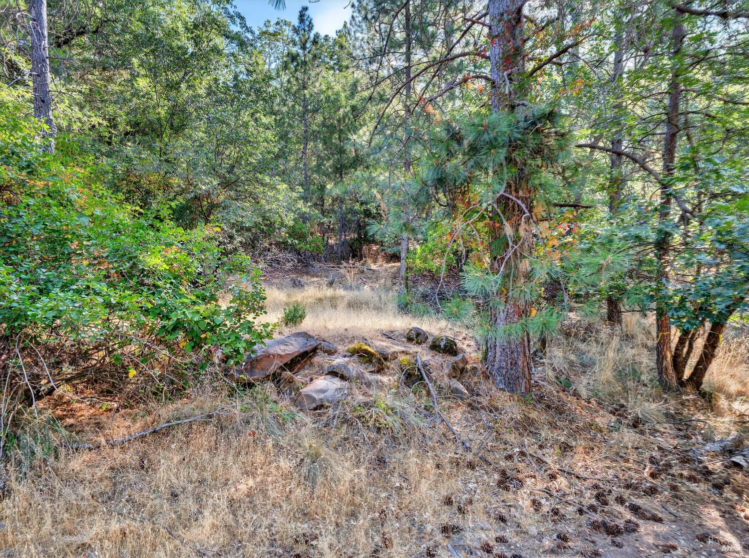 16370 Manzanita Court Cobb CA 95426