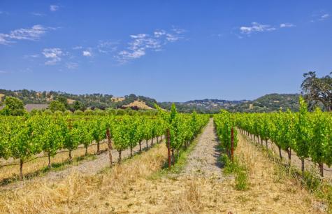 179 Pleasant Avenue Windsor CA 95403