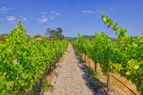 179 Pleasant Avenue Windsor CA 95403