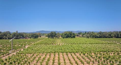 179 Pleasant Avenue Windsor CA 95403