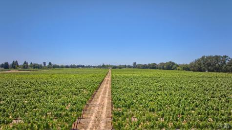 179 Pleasant Avenue Windsor CA 95403