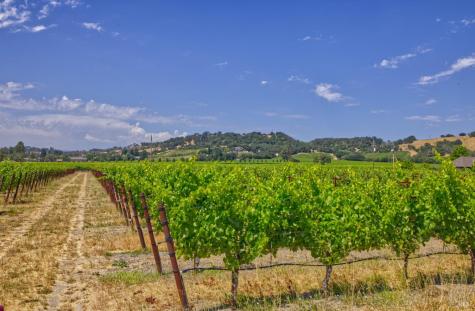 179 Pleasant Avenue Windsor CA 95403