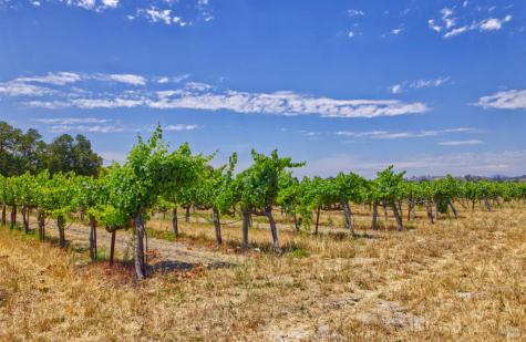 179 Pleasant Avenue Windsor CA 95403