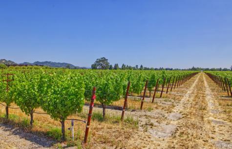 179 Pleasant Avenue Windsor CA 95403