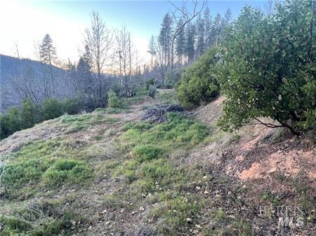 16709 Starview Loop Cobb CA 95426