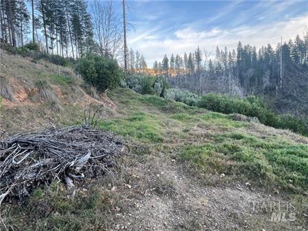 16709 Starview Loop Cobb CA 95426