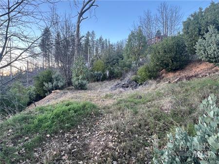 16709 Starview Loop Cobb CA 95426