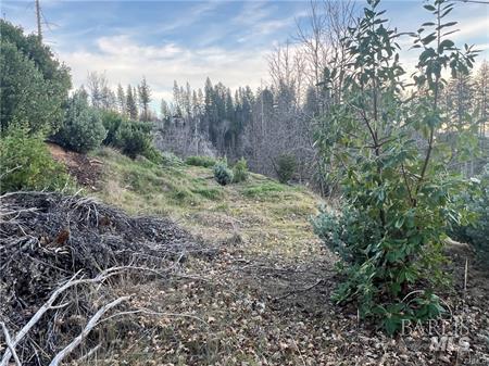 16709 Starview Loop Cobb CA 95426