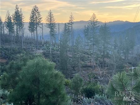 16709 Starview Loop Cobb CA 95426