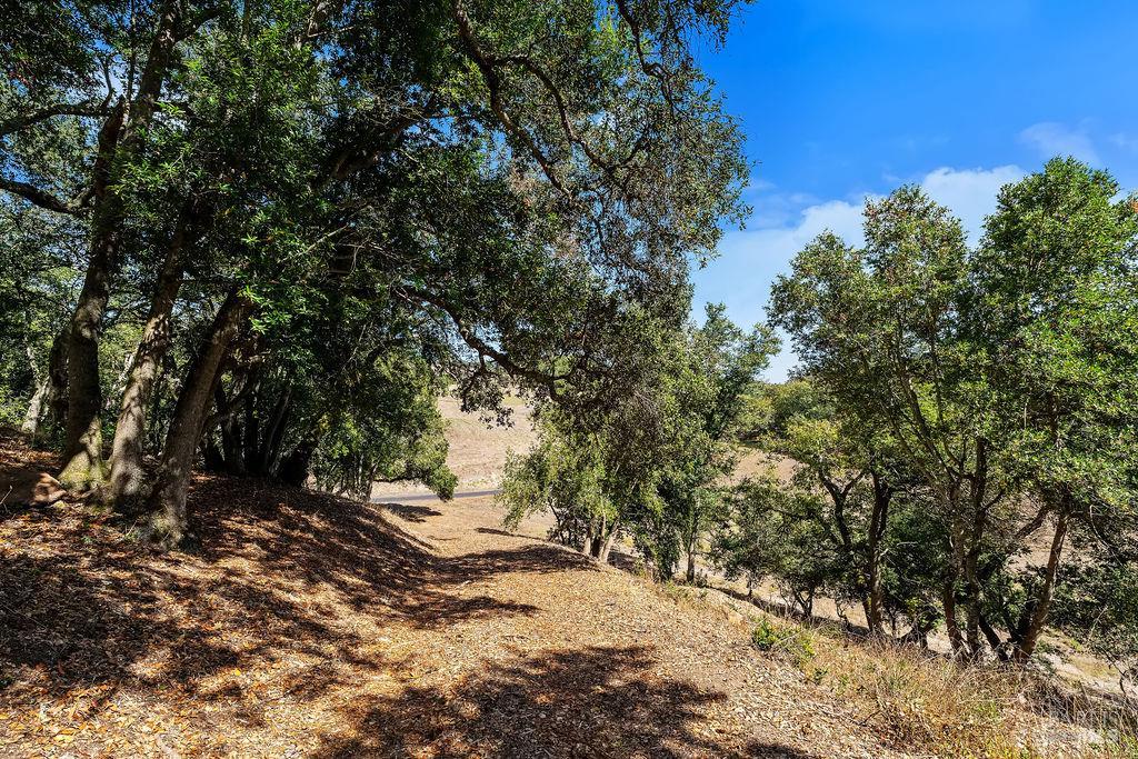 4663 Hillsborough Drive Petaluma CA 94954