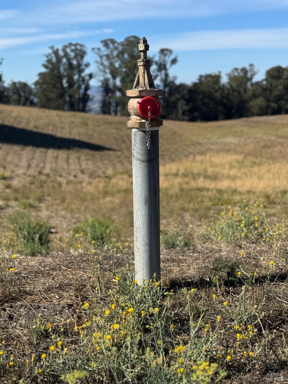 4663 Hillsborough Drive Petaluma CA 94954