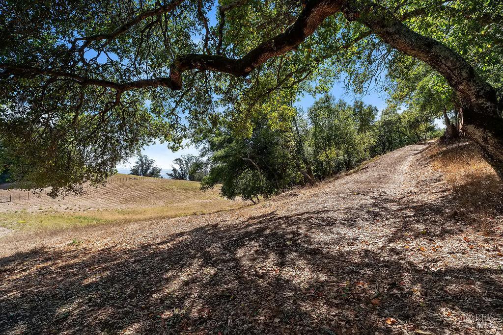 4663 Hillsborough Drive Petaluma CA 94954
