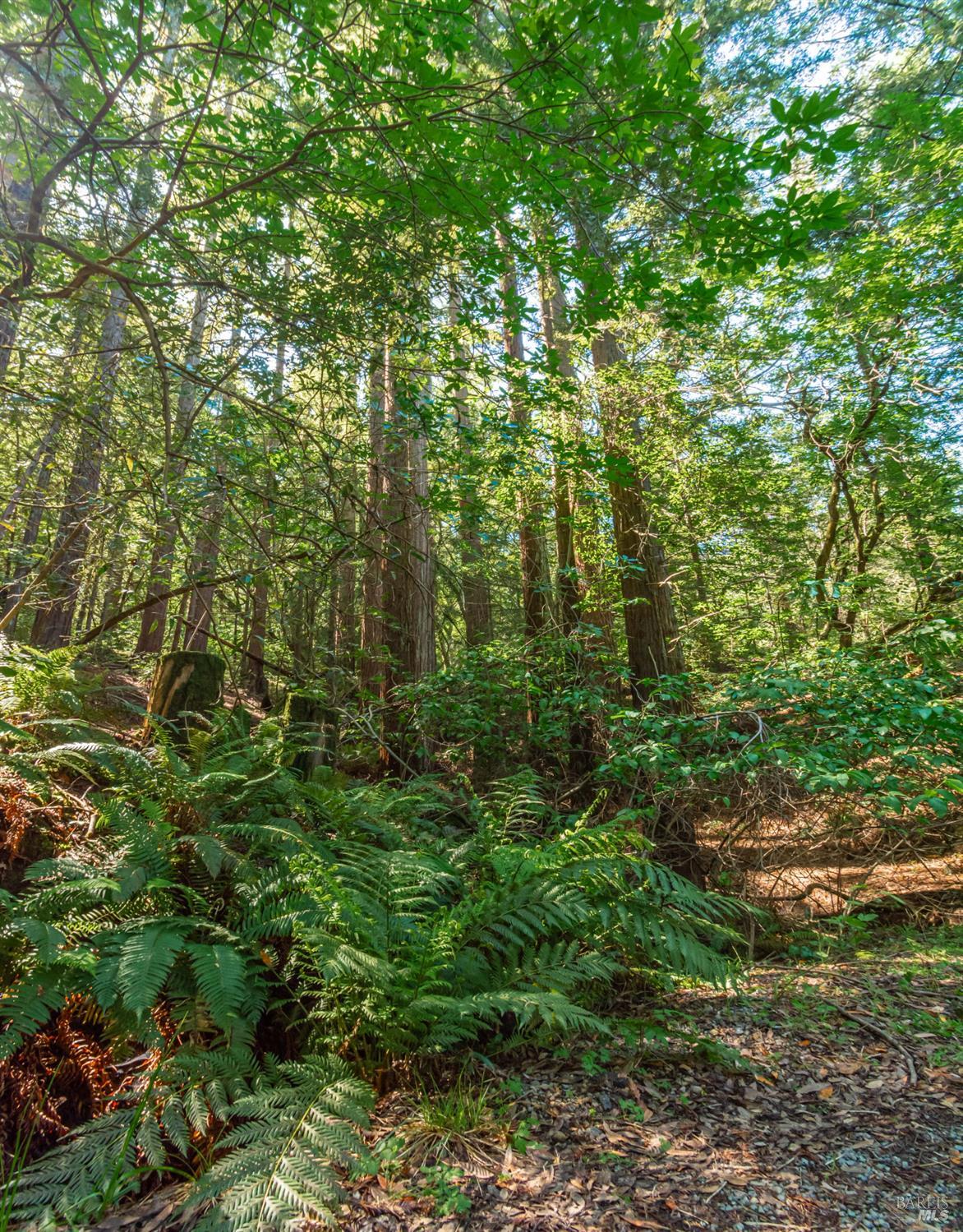0 Dry Creek Road Napa CA 94558